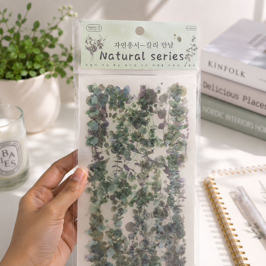 Eucalyptus Leaves Stickers