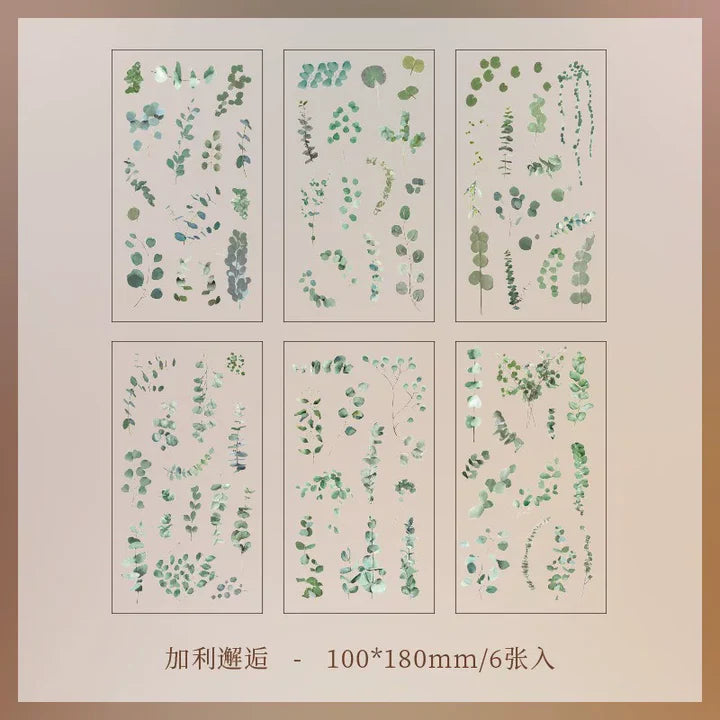Eucalyptus Leaves Stickers